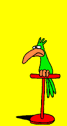 papagan-hareketli-resim-0125