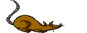 sican-hareketli-resim-0089