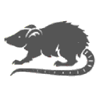 sican-hareketli-resim-0107