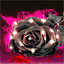 fantazi-hareketli-resim-0623