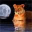 fantazi-hareketli-resim-0693