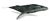 balina-hareketli-resim-0001