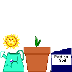 bahce-hareketli-resim-0041