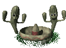 kaktus-hareketli-resim-0004