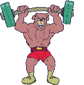 sporcu-hayvan-hareketli-resim-0221