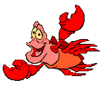 ariel-hareketli-resim-0009