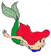 ariel-hareketli-resim-0013