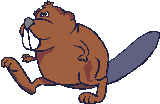 kunduz-hareketli-resim-0012