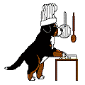 bernese-dag-kopegi-hareketli-resim-0171